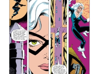 Spectacular Spider-Man #90, pg. 9; pencils, Al Milgrom; inks, Jim Mooney; Black Cat, Felecia Hardy