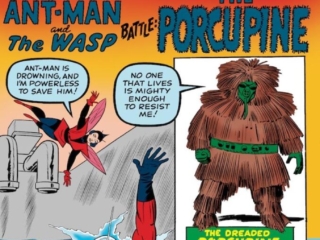 Tales to Astonish #48 cover; pencils, Jack Kirby; inks, Sol Brodsky; Ant-Man and the Wasp Battle the dreaded Porcupine