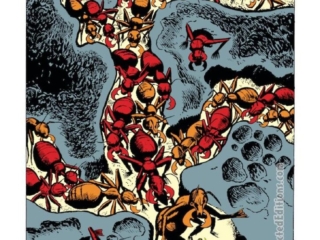 Tales to Astonish #27, pg. 1; pencils, Jack Kirby; inks, Dick Ayers; Ant-Man/Giant-Man/Hank Pym, Wonderful Wasp, Janet Van Dyne; The Man in the Ant-Hill, origin, first appearance