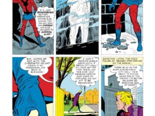 Tales to Astonish #43, pg. 10; pencils and inks, Don Heck; Ant-Man/Giant-Man/Hank Pym, Wonderful Wasp, Janet Van Dyne; Pym Particles