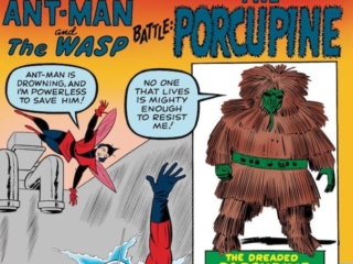 Tales to Astonish #48 cover; pencils, Jack Kirby; inks, Sol Brodsky; Ant-Man, The Wasp Battle the Porcupine, Hank Pym