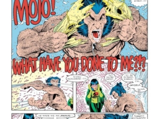 X-Men Annual #10, pg. 30; pencils, Arthur Adams; inks, Terry Austin; Wolverine, Karma